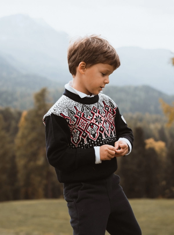 Sweaters for children - Winterland - Dale of Norway